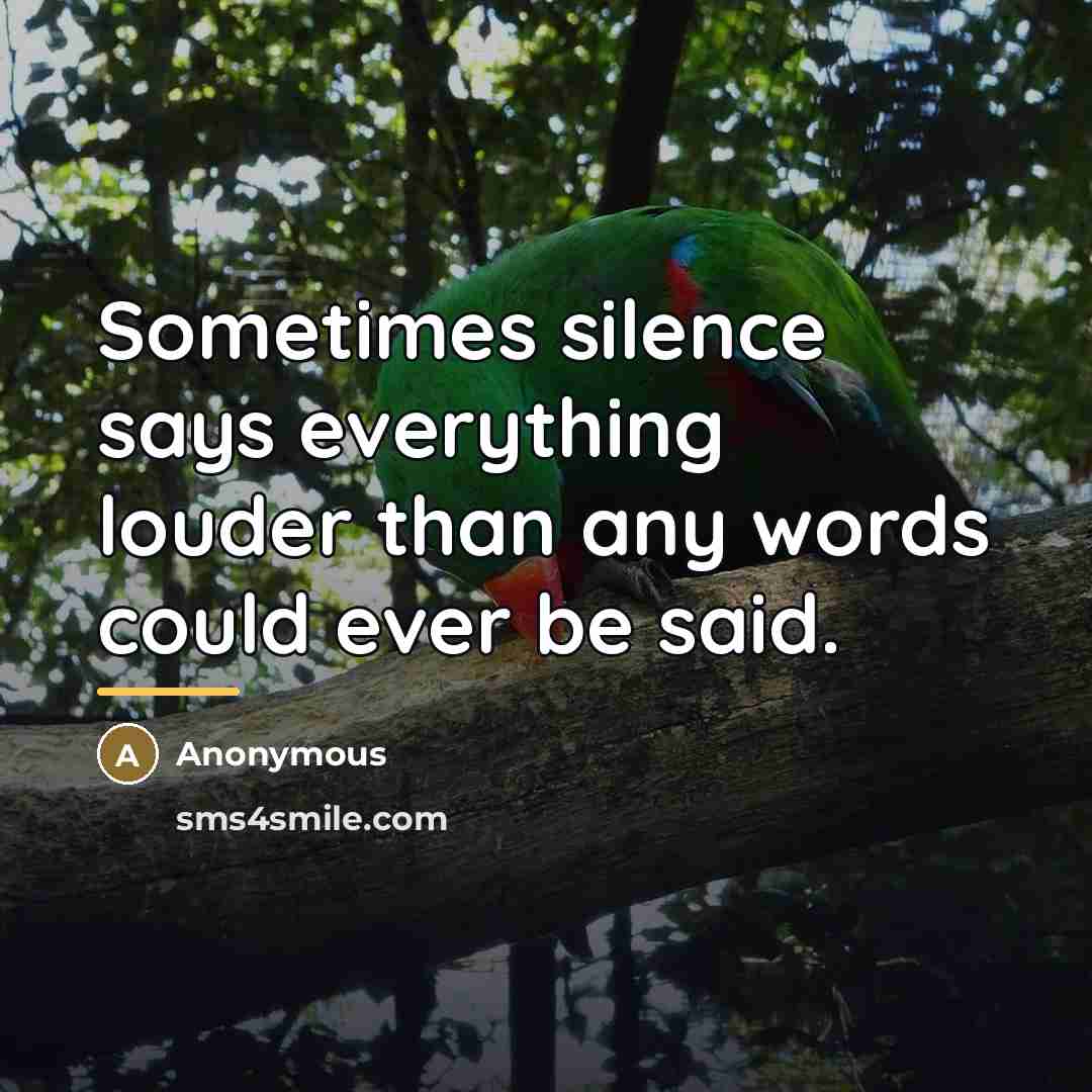 “Sometimes silence says everything louder than any words could ever…” quote by Anonymous