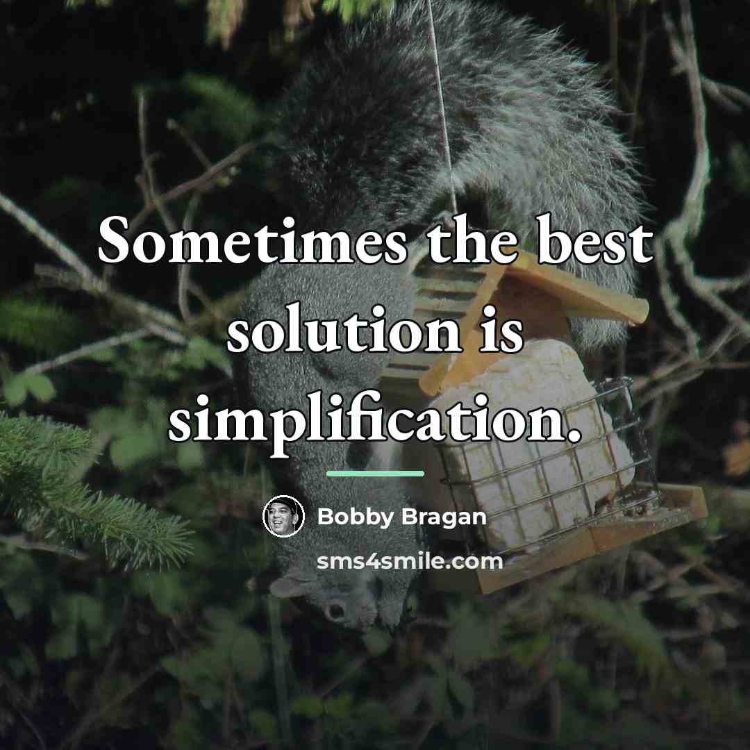 “Sometimes the best solution is simplification.…” quote by Bobby Bragan