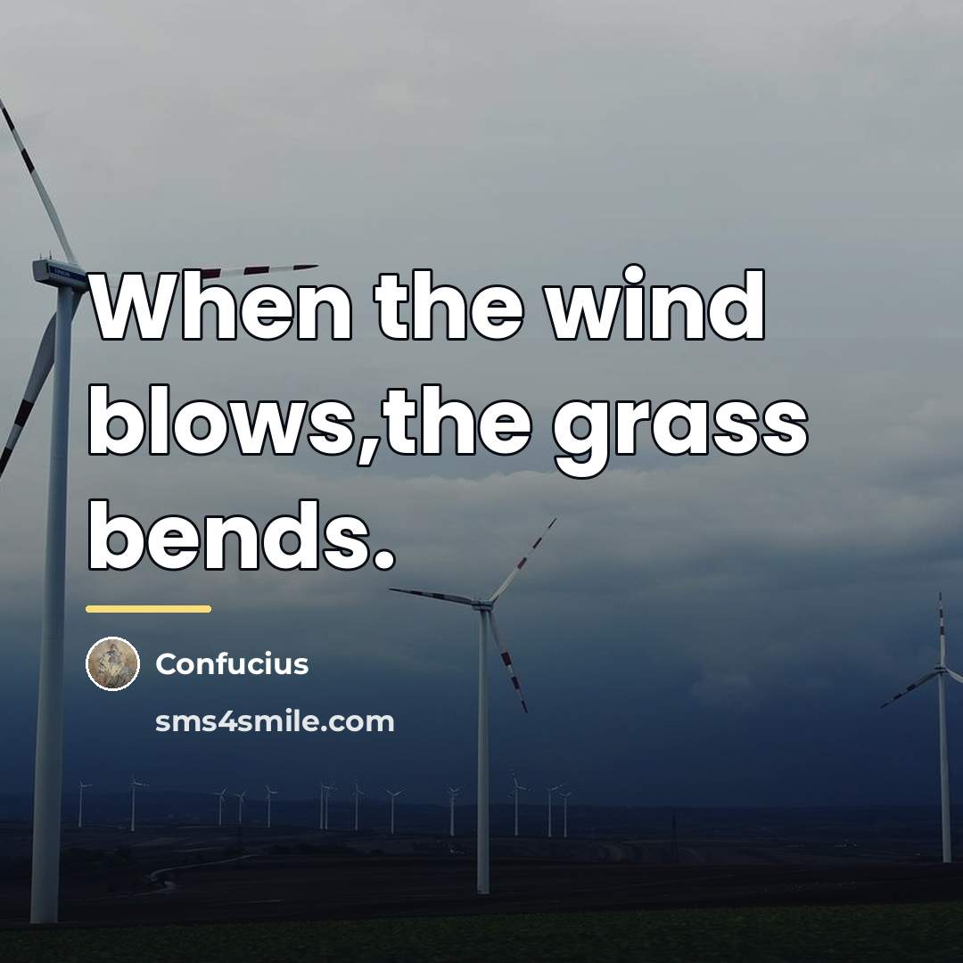 “When the wind blows,the grass bends.…” quote by Confucius