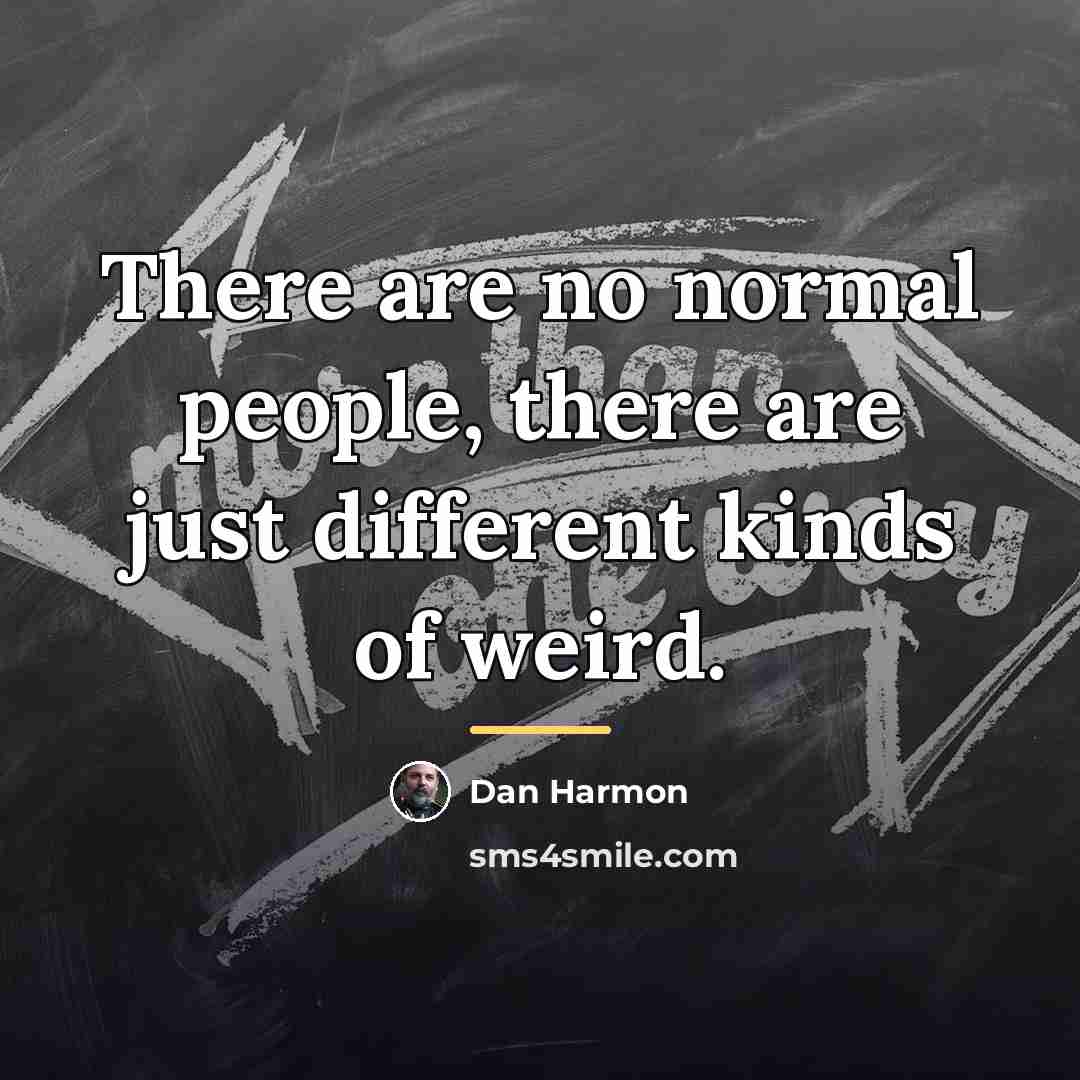 “There are no normal people, there are just different kinds…” quote by Dan Harmon