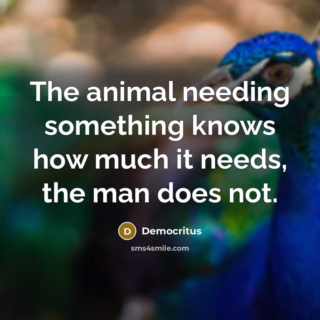 “The animal needing something knows how much it needs, the…” quote by Democritus