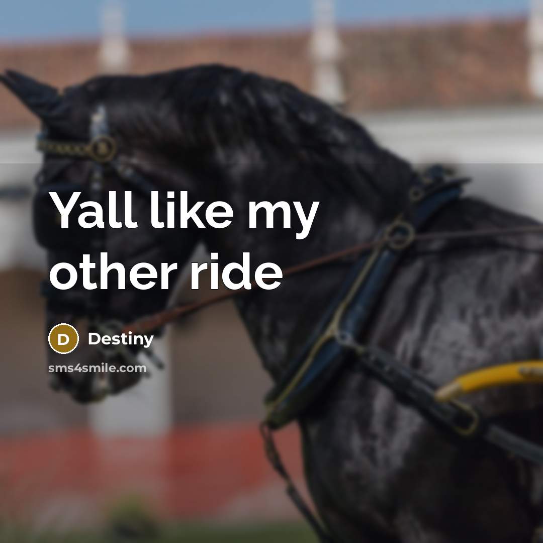 “Yall like my other ride” quote by Destiny