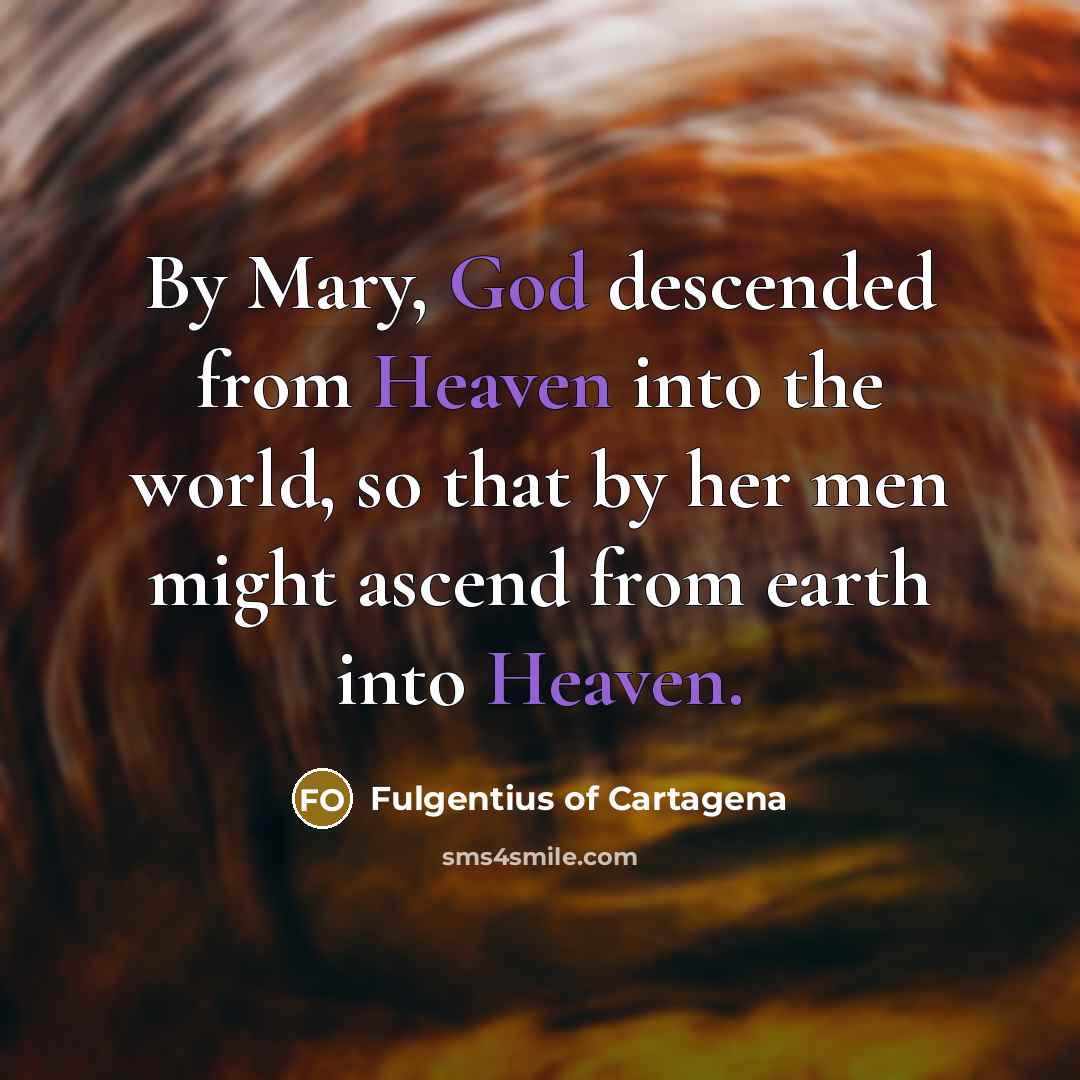 “By Mary, God descended from Heaven into the world, so…” quote by Fulgentius of Cartagena
