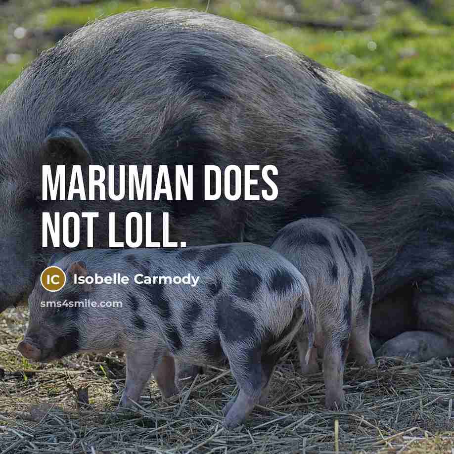 “Maruman does not loll.…” quote by Isobelle Carmody