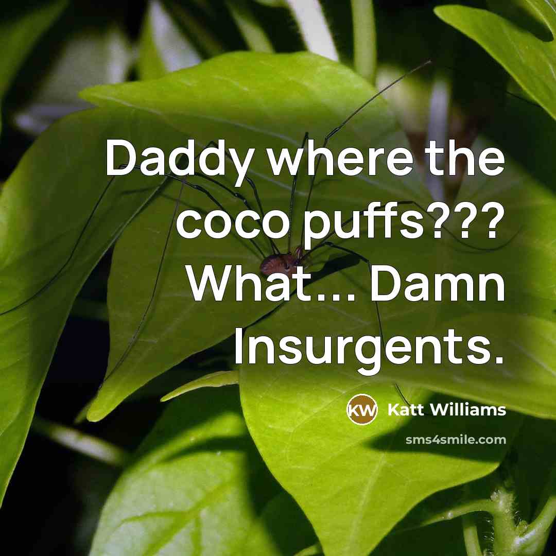 “Daddy where the coco puffs??? What... Damn Insurgents.” quote by Katt Williams