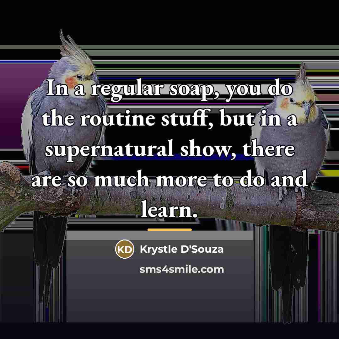 “In a regular soap, you do the routine stuff, but…” quote by Krystle D'Souza