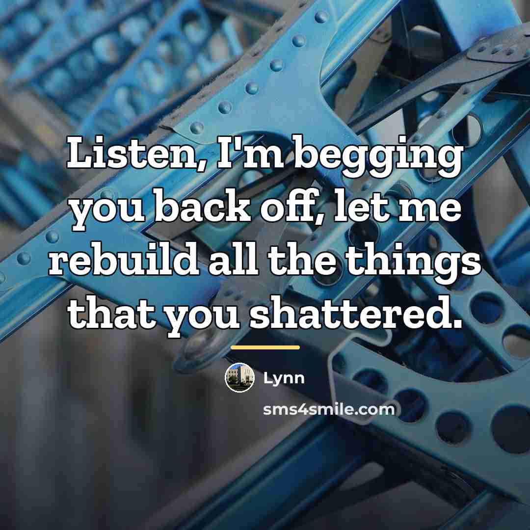 “Listen, I'm begging you back off, let me rebuild all…” quote by Lynn