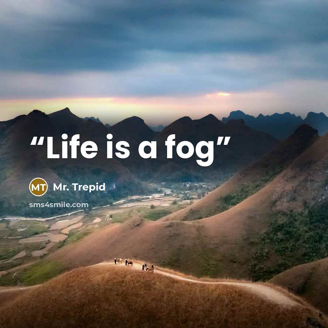 “Life is a fog” quote by Mr. Trepid