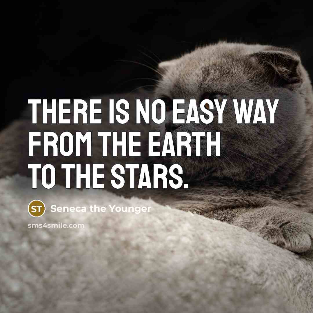 “There is no easy way from the earth to the…” quote by Seneca the Younger