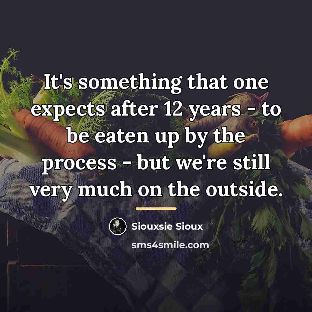 “It's something that one expects after 12 years - to…” quote by Siouxsie Sioux