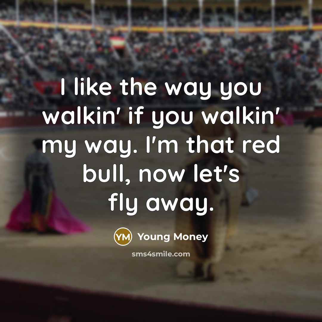 “I like the way you walkin' if you walkin' my…” quote by Young Money