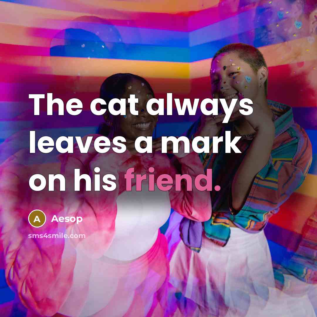 “The cat always leaves a mark on his friend.…” quote by Aesop