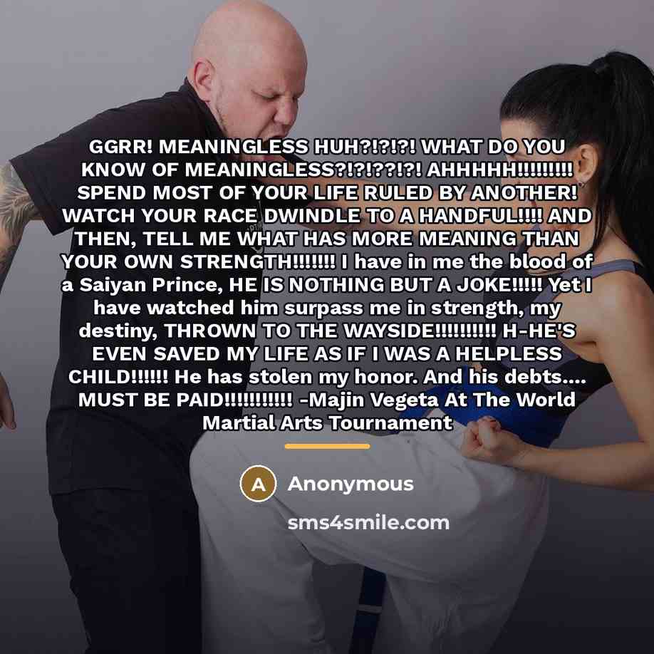 “GGRR! MEANINGLESS HUH?!?!?! WHAT DO YOU KNOW OF MEANINGLESS?!?!??!?! AHHHHH!!!!!!!!!…” quote by Anonymous