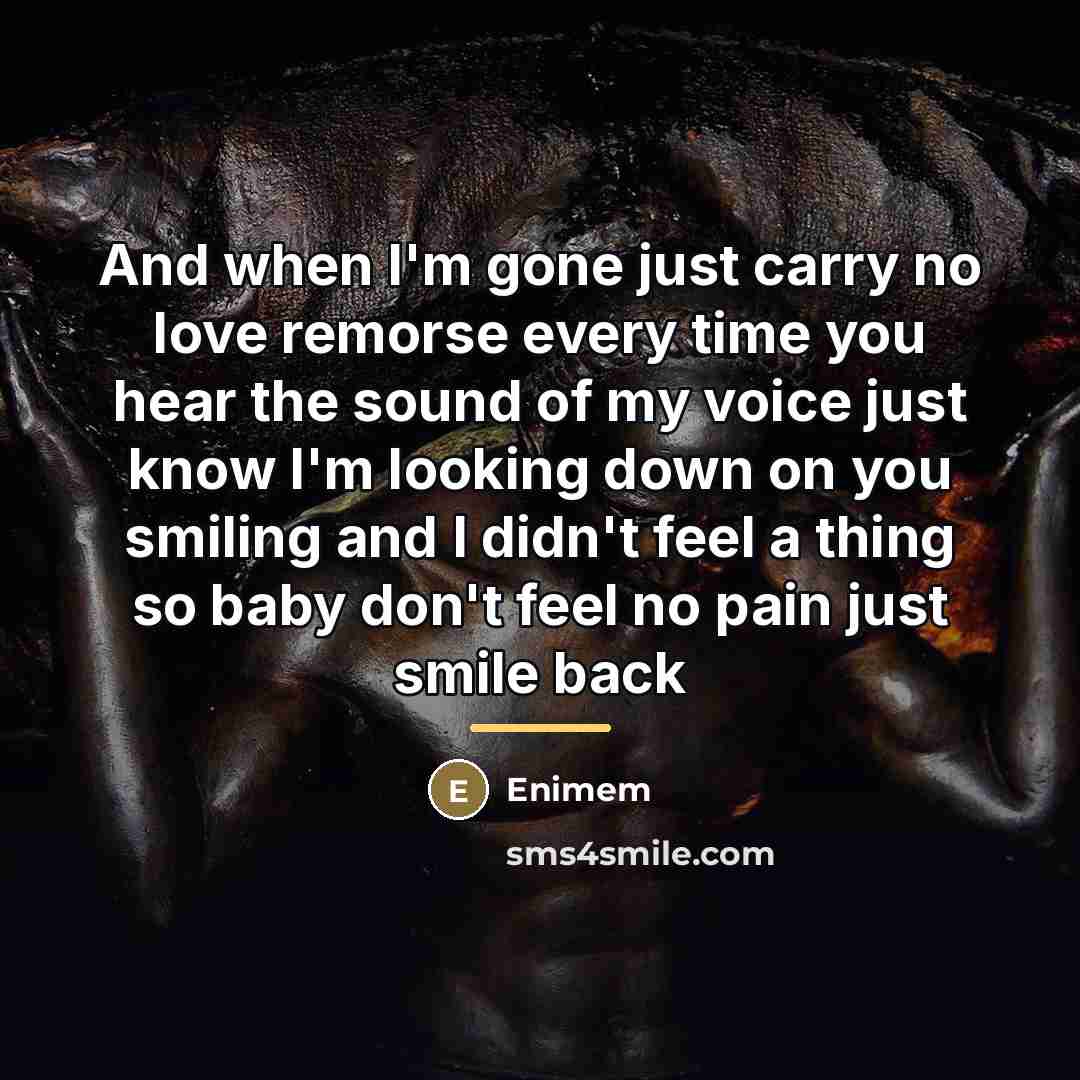 “And when I'm gone just carry no love remorse every…” quote by Enimem