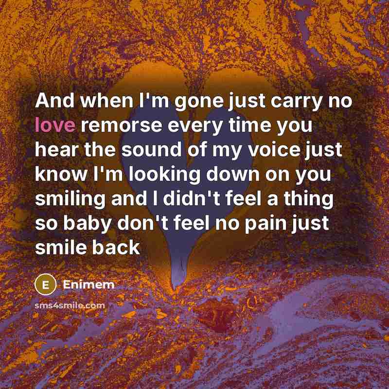 “And when I'm gone just carry no love remorse every time you hear the sound of my voice just know I'm looking down on you smiling and I didn't feel a thing so baby don't feel no pain just smile back” quote by Enimem