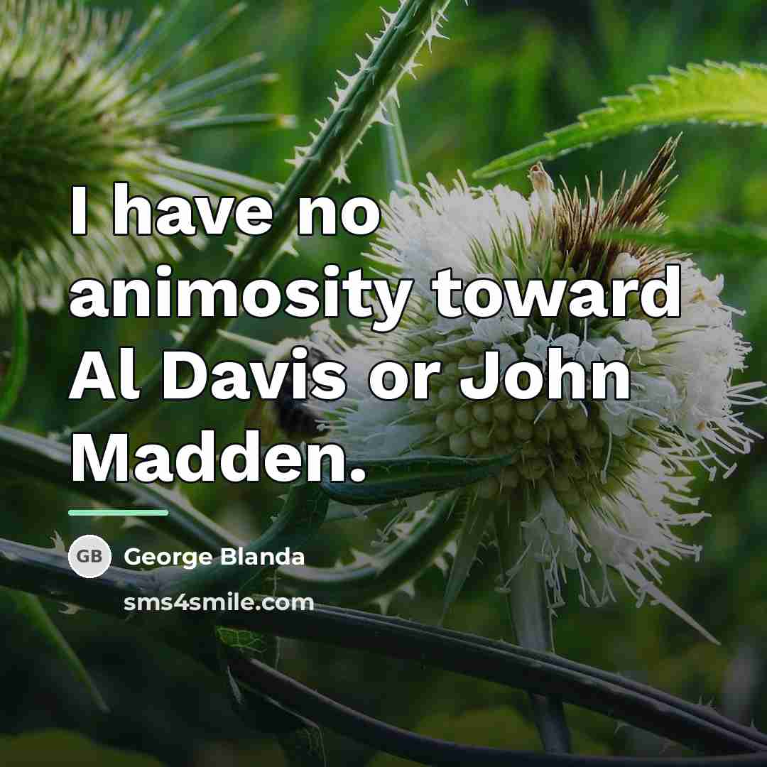 “I have no animosity toward Al Davis or John Madden.…” quote by George Blanda
