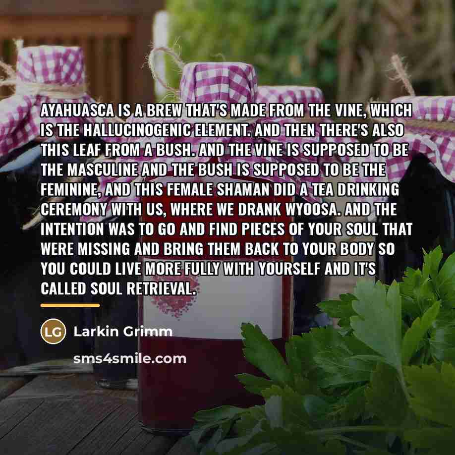 “Ayahuasca is a brew that's made from the vine, which…” quote by Larkin Grimm
