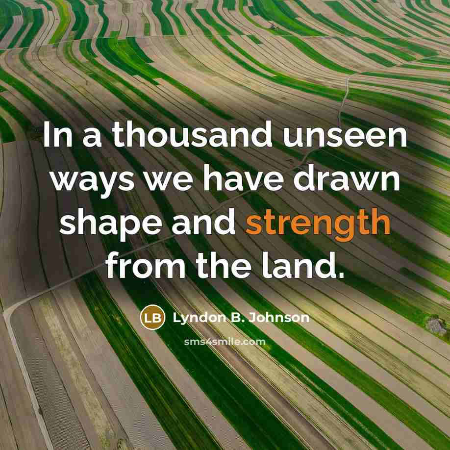 “In a thousand unseen ways we have drawn shape and…” quote by Lyndon B. Johnson