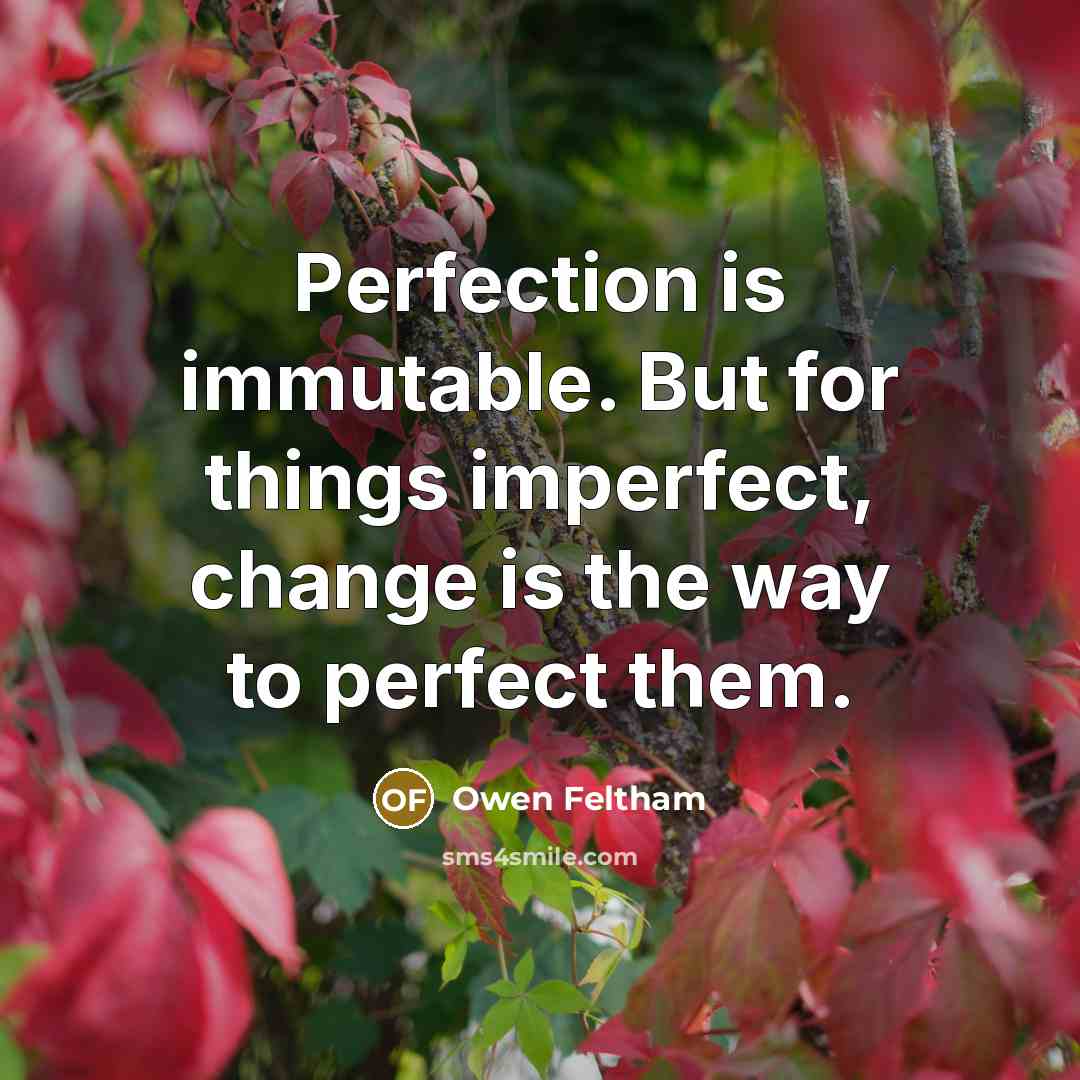 “Perfection is immutable. But for things imperfect, change is the…” quote by Owen Feltham