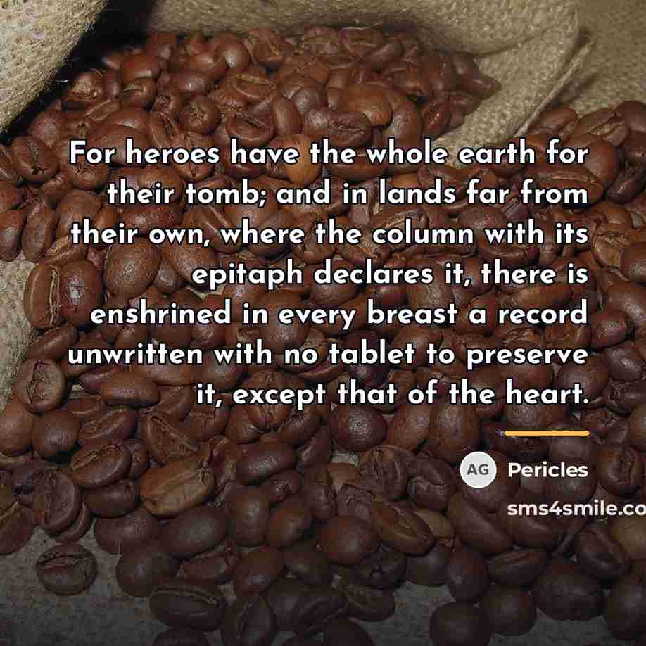 “For heroes have the whole earth for their tomb; and…” quote by Pericles