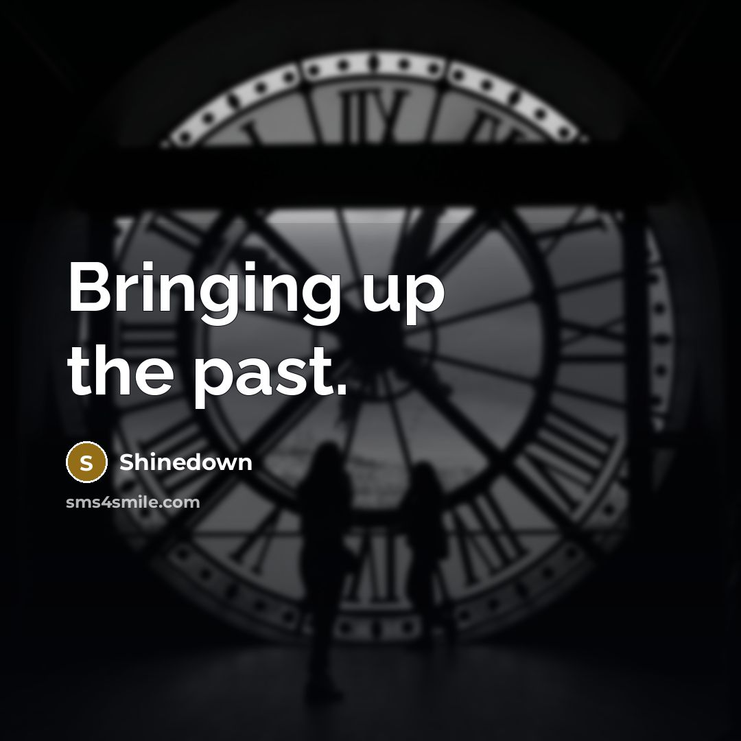 “Bringing up the past.…” quote by Shinedown