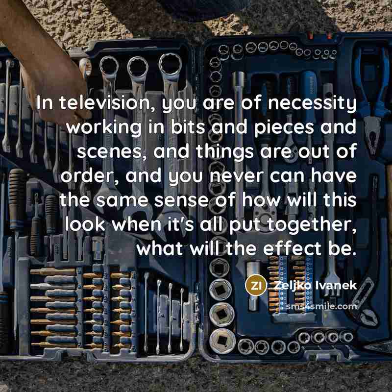 “In television, you are of necessity working in bits and…” quote by Zeljko Ivanek