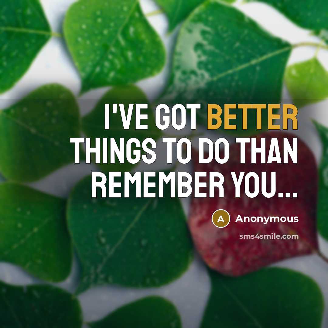 “I've got better things to do than remember you...” quote by Anonymous