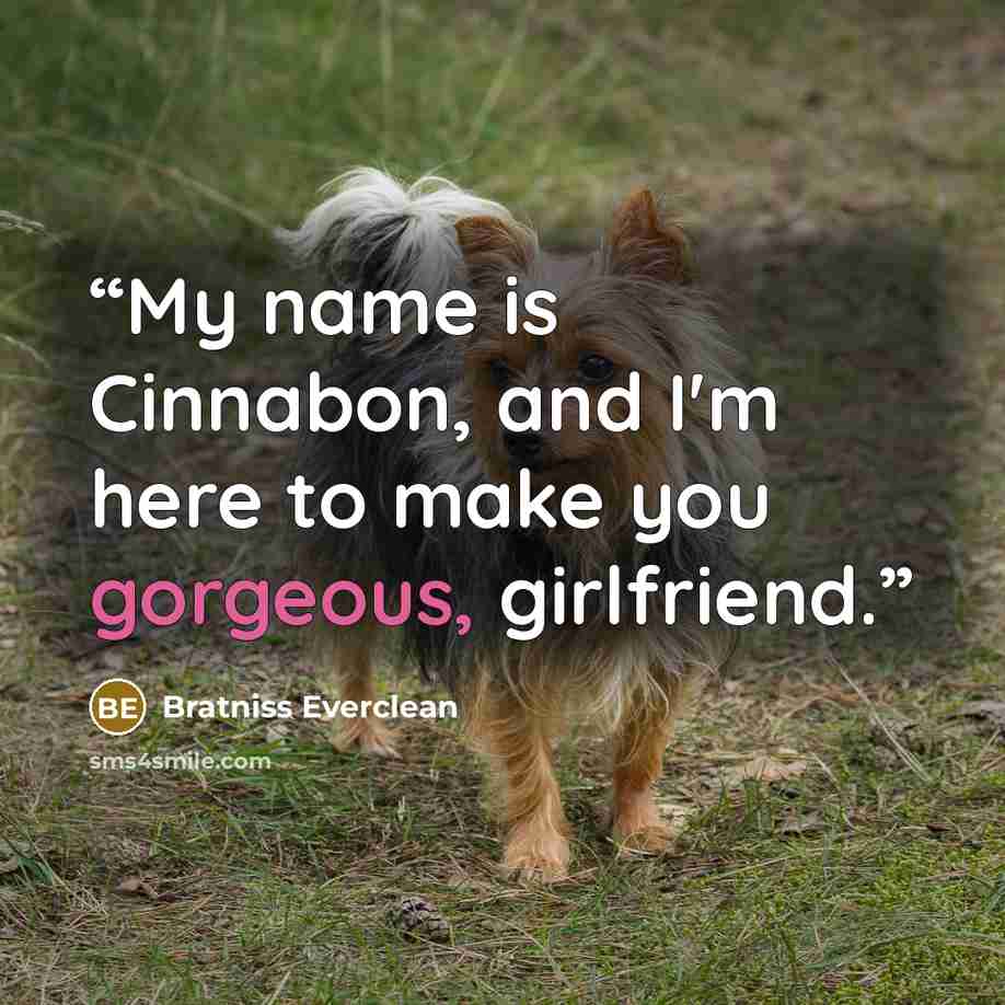 “My name is Cinnabon, and I'm here to make you gorgeous, girlfriend.” quote by Bratniss Everclean