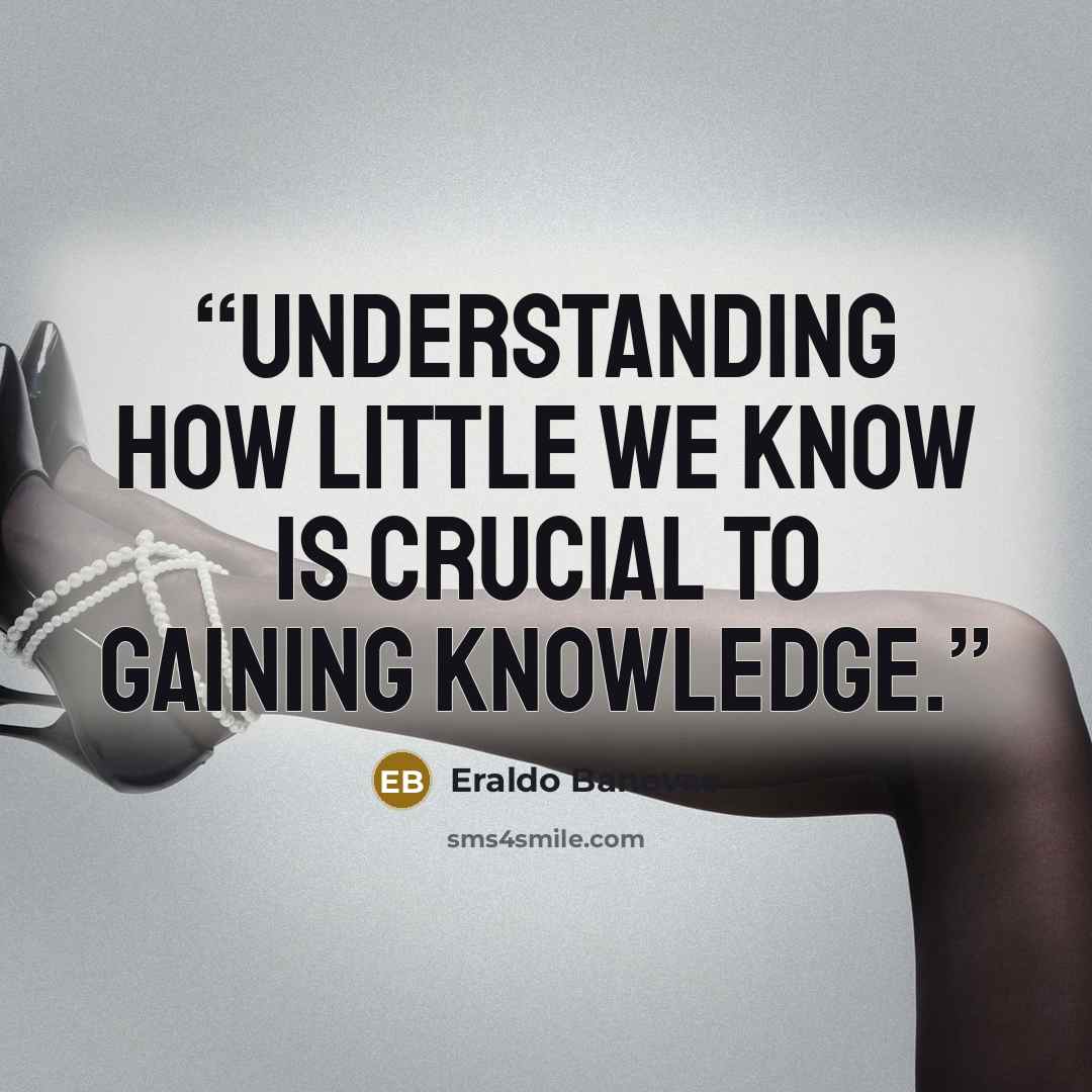 “Understanding how little we know is crucial to gaining knowledge.” quote by Eraldo Banovac