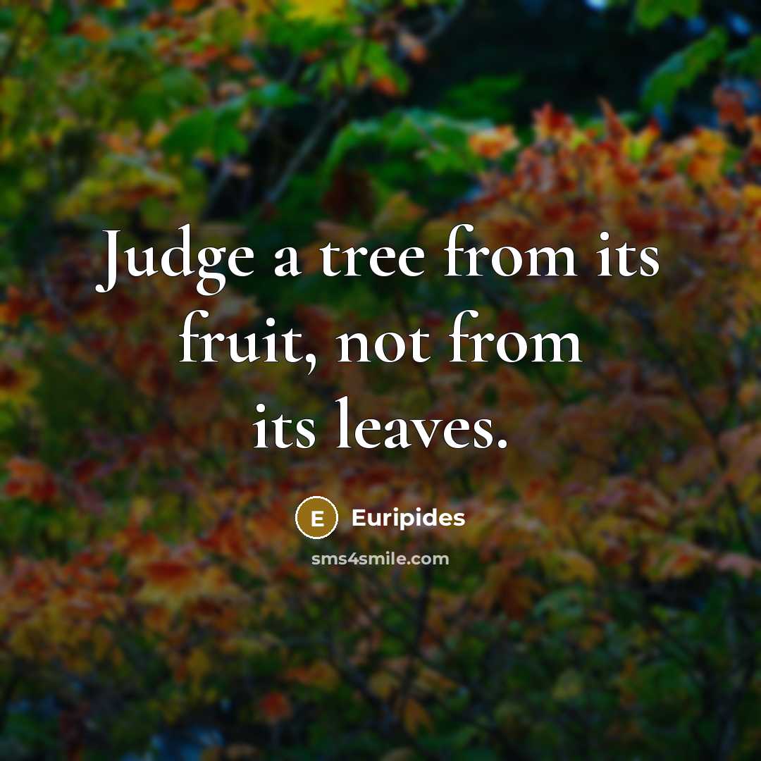 “Judge a tree from its fruit, not from its leaves.” quote by Euripides
