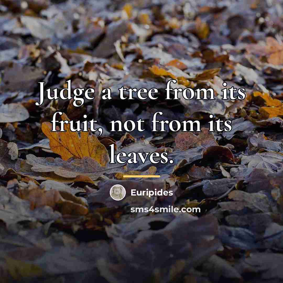 “Judge a tree from its fruit, not from its leaves.…” quote by Euripides