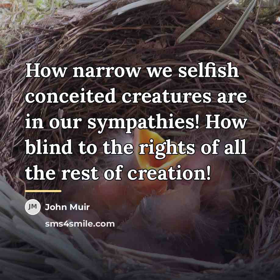 “How narrow we selfish conceited creatures are in our sympathies!…” quote by John Muir