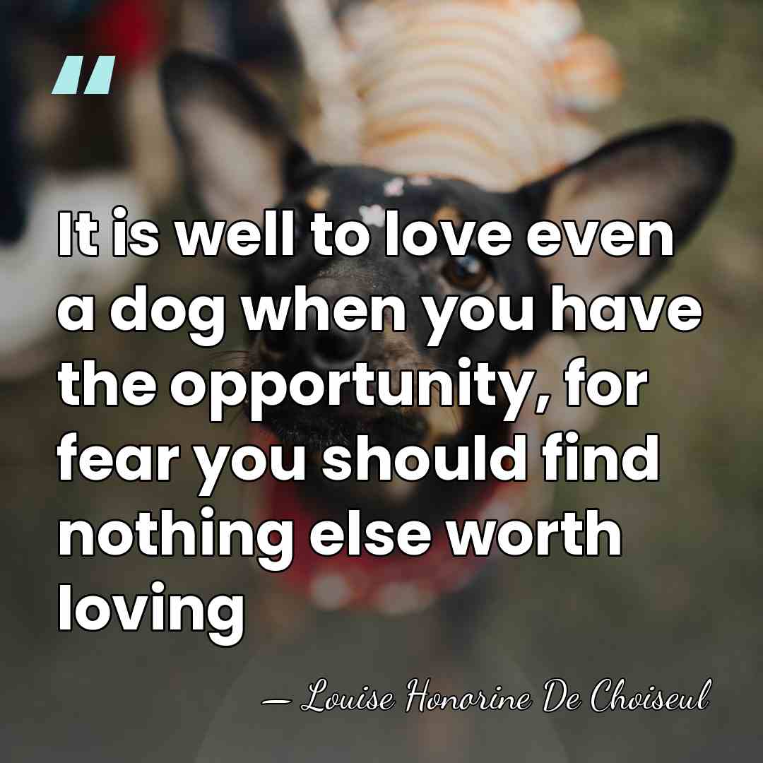It is well to love even a dog when you have the&hellip; - Louise Honorine De Choiseul
