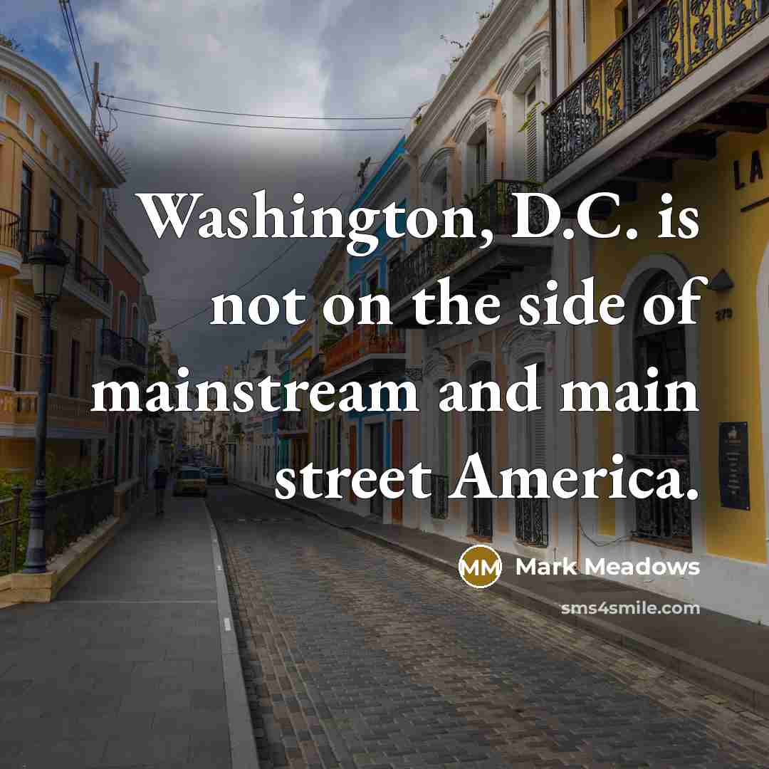 “Washington, D.C. is not on the side of mainstream and…” quote by Mark Meadows