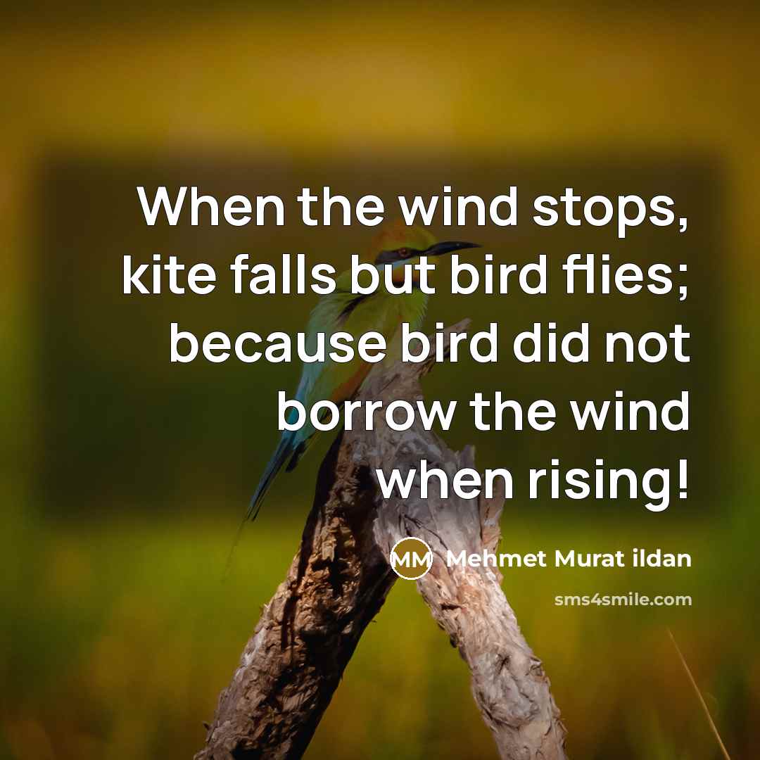 “When the wind stops, kite falls but bird flies; because…” quote by Mehmet Murat Ildan