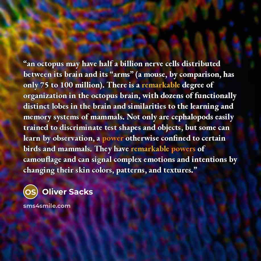 “an octopus may have half a billion nerve cells distributed between its brain and its “arms” (a mouse, by comparison, has only 75 to 100 million). There is a remarkable degree of organization in the octopus brain, with dozens of functionally distinct lobes in the brain and similarities to the…” quote by Oliver Sacks