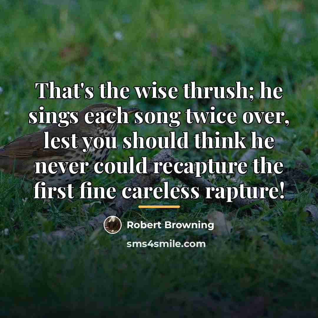 “That's the wise thrush; he sings each song twice over,…” quote by Robert Browning