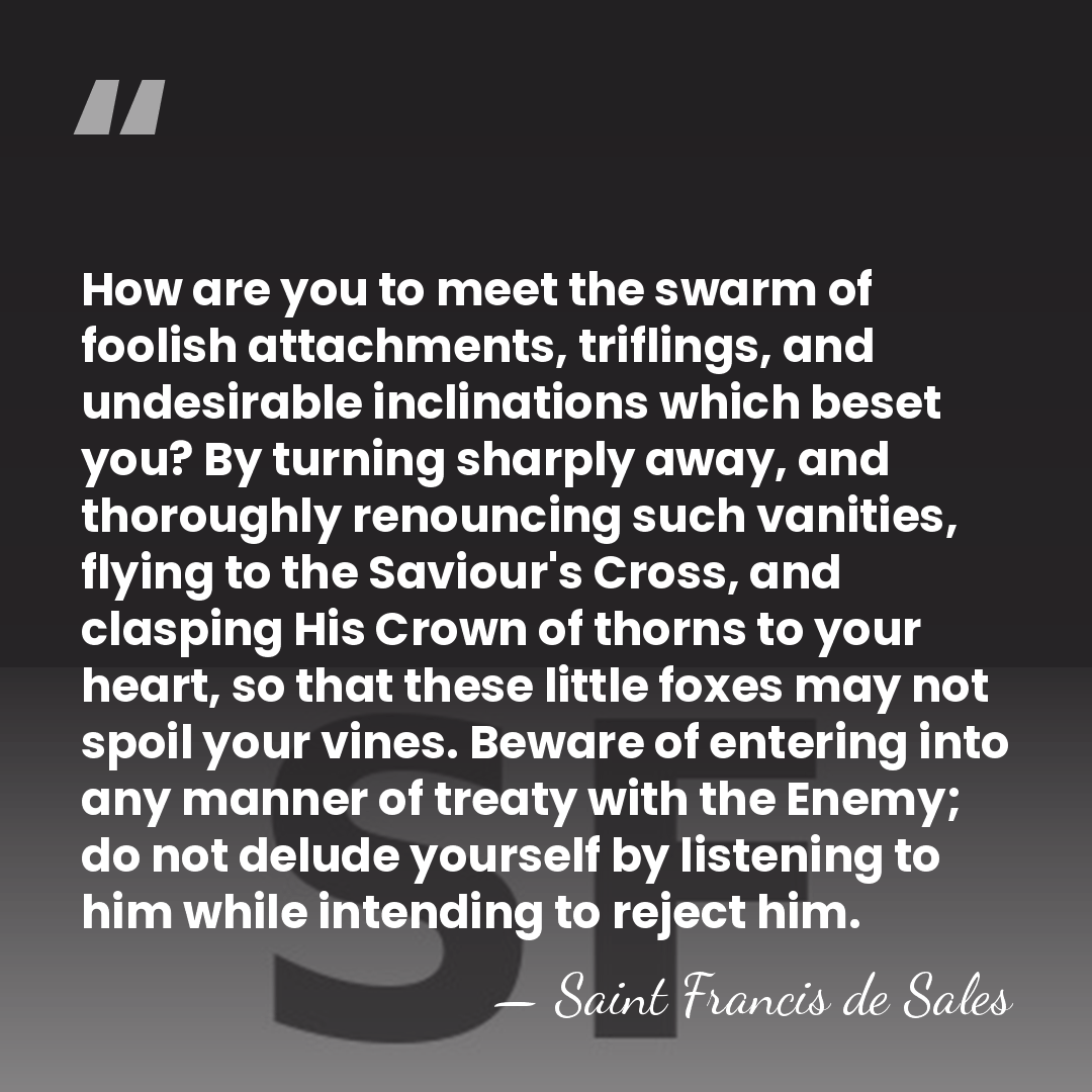 How are you to meet the swarm of foolish attachments, triflings, and&hellip; - Saint Francis de Sales