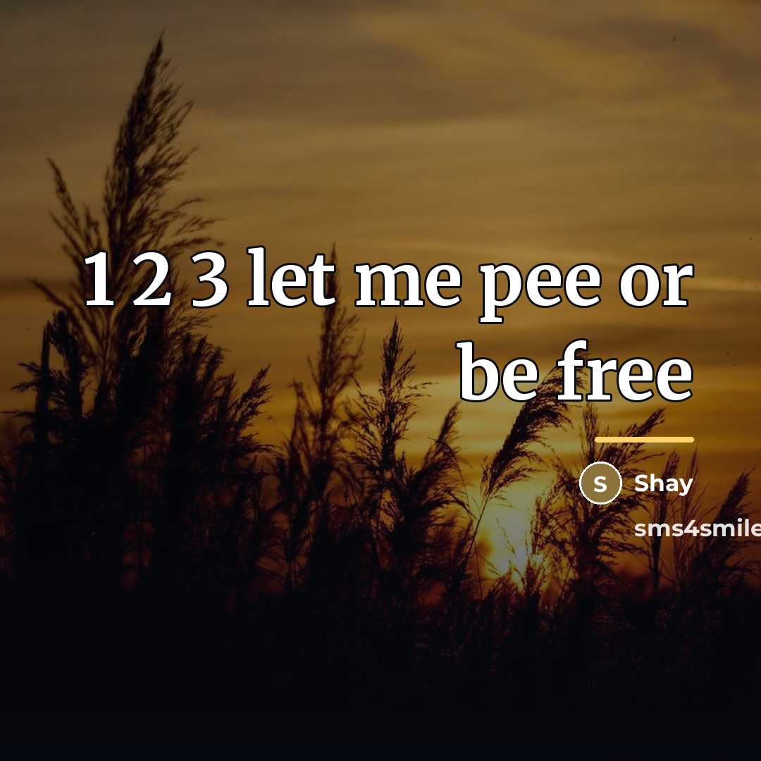 “1 2 3 let me pee or be free…” quote by Shay