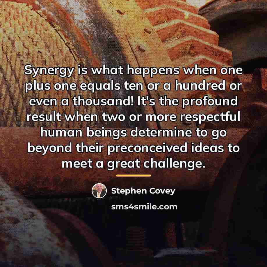 “Synergy is what happens when one plus one equals ten…” quote by Stephen Covey