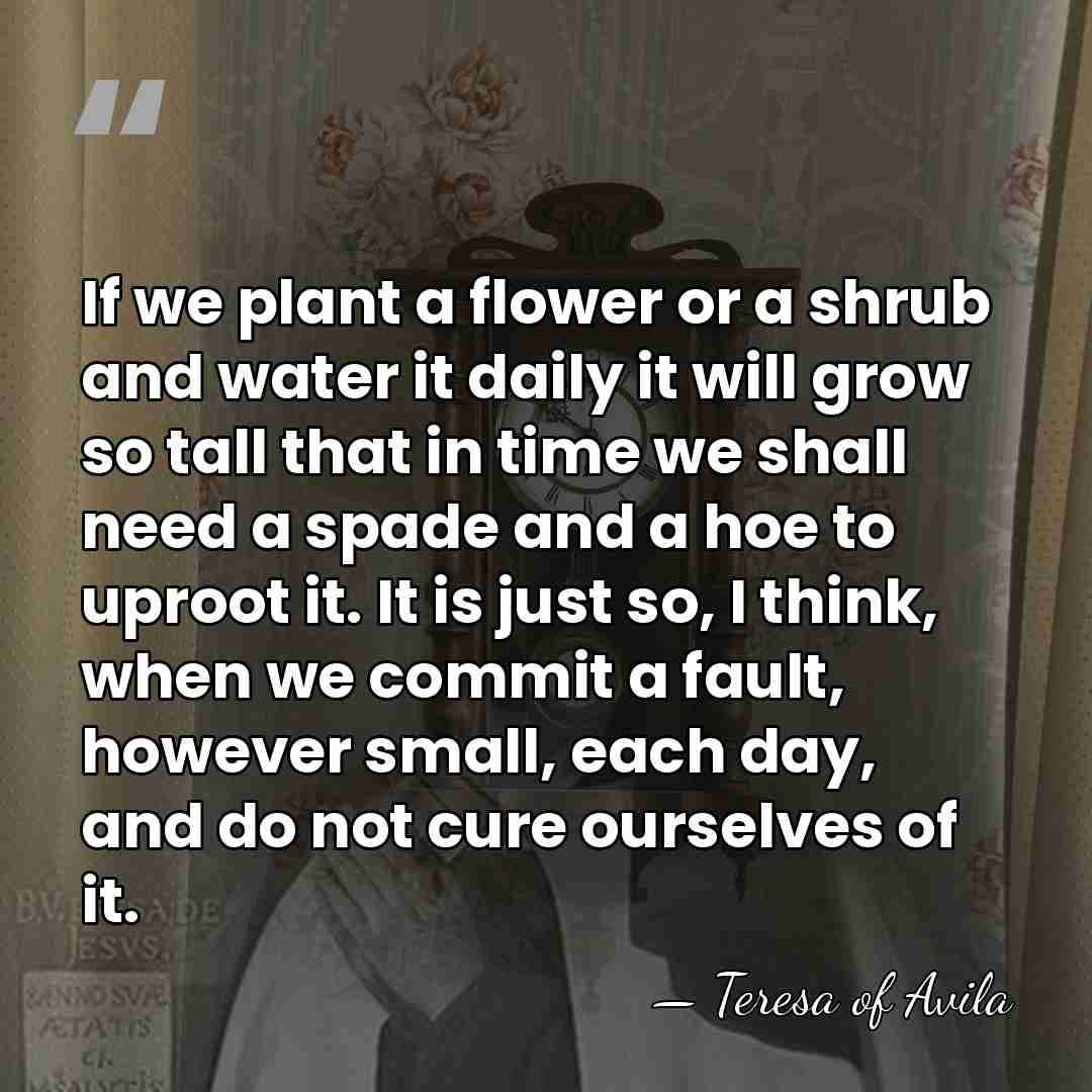 If we plant a flower or a shrub and water it daily&hellip; - Teresa of Avila
