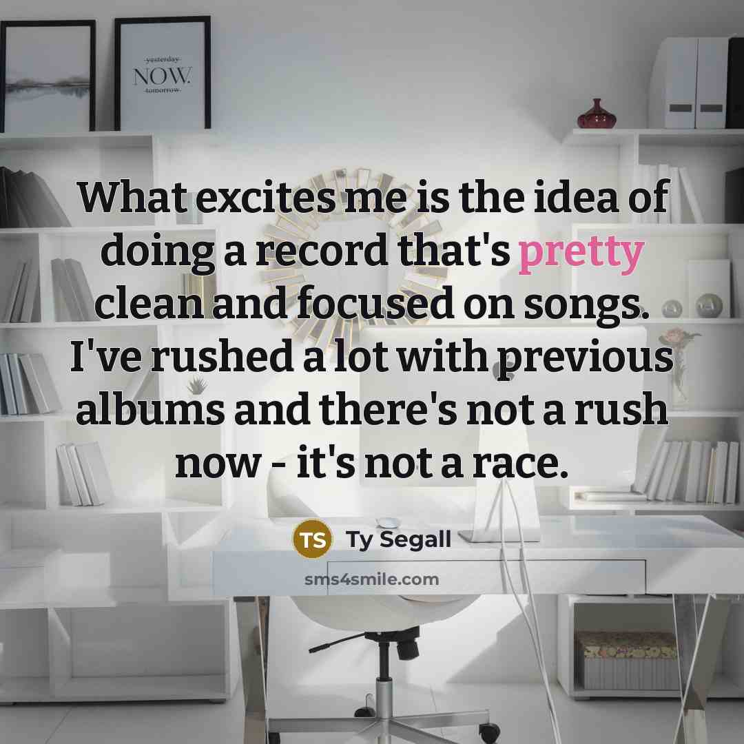 “What excites me is the idea of doing a record…” quote by Ty Segall