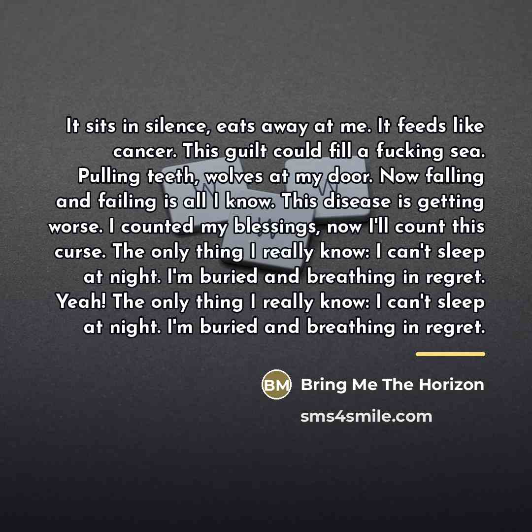 “It sits in silence, eats away at me. It feeds…” quote by Bring Me The Horizon