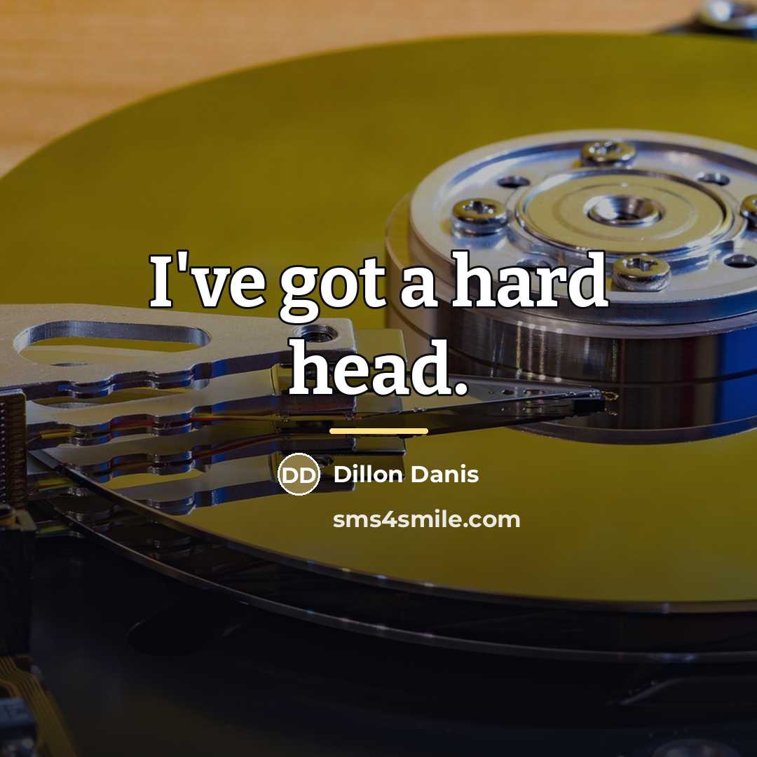 “I've got a hard head.…” quote by Dillon Danis