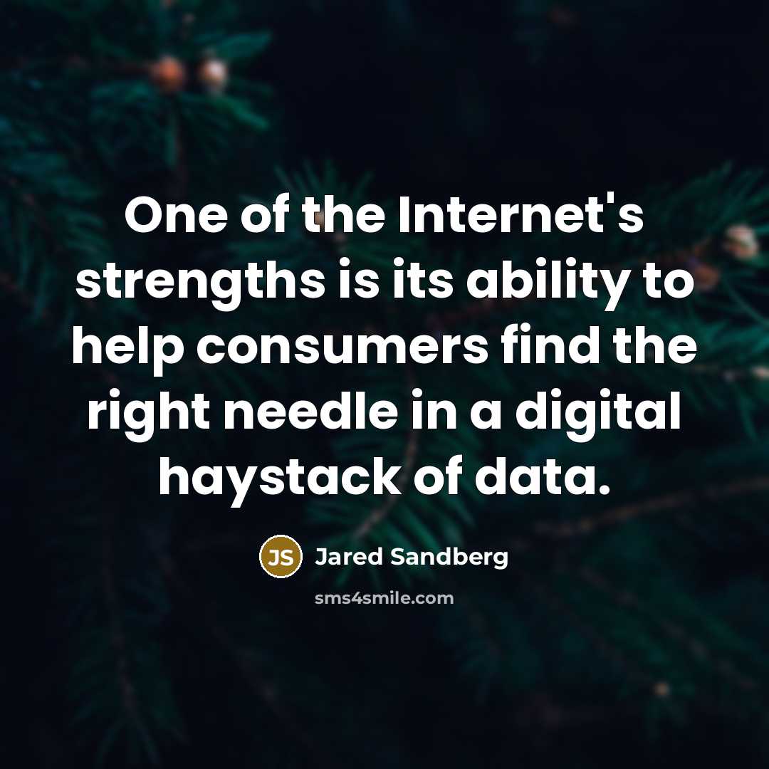 “One of the Internet's strengths is its ability to help consumers find the right needle in a digital haystack of data.” quote by Jared Sandberg