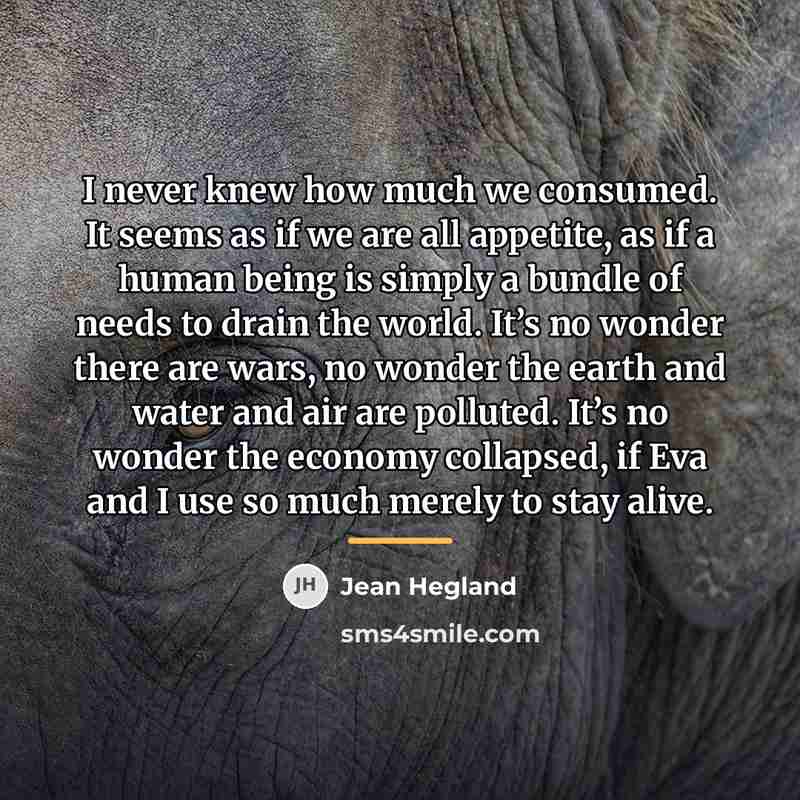 “I never knew how much we consumed. It seems as…” quote by Jean Hegland