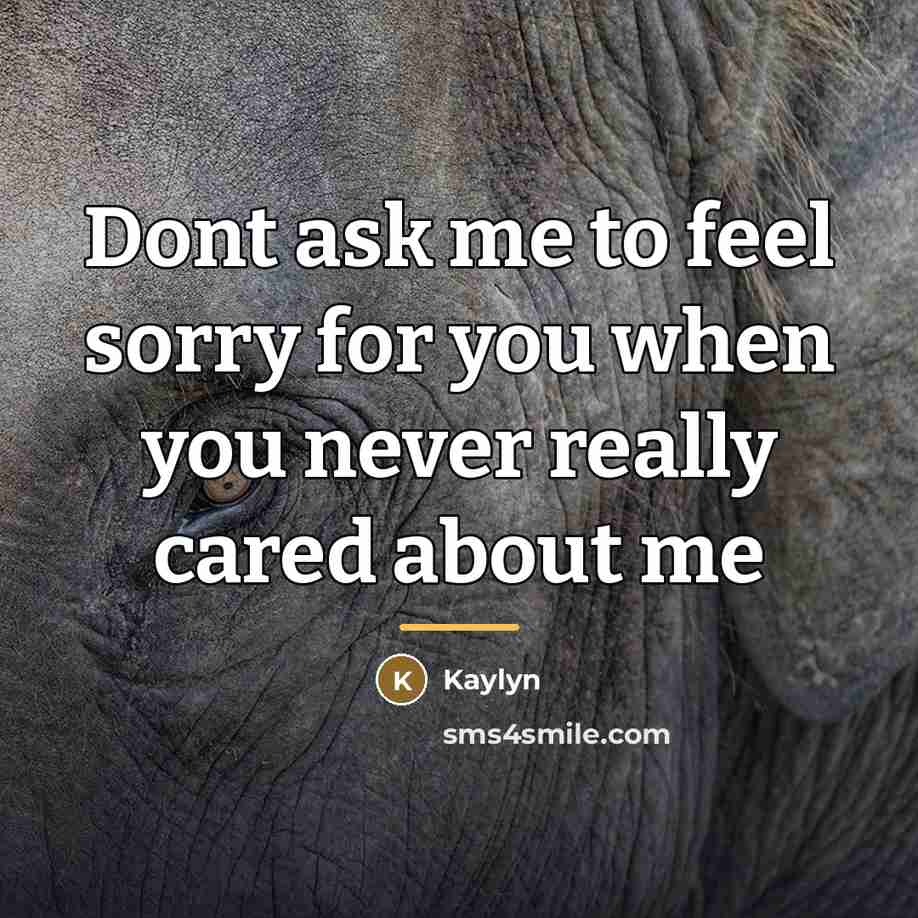 “Dont ask me to feel sorry for you when you…” quote by Kaylyn