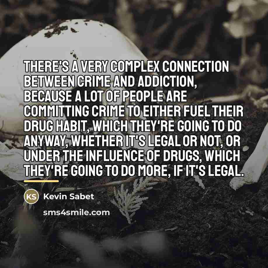 “There's a very complex connection between crime and addiction, because…” quote by Kevin Sabet