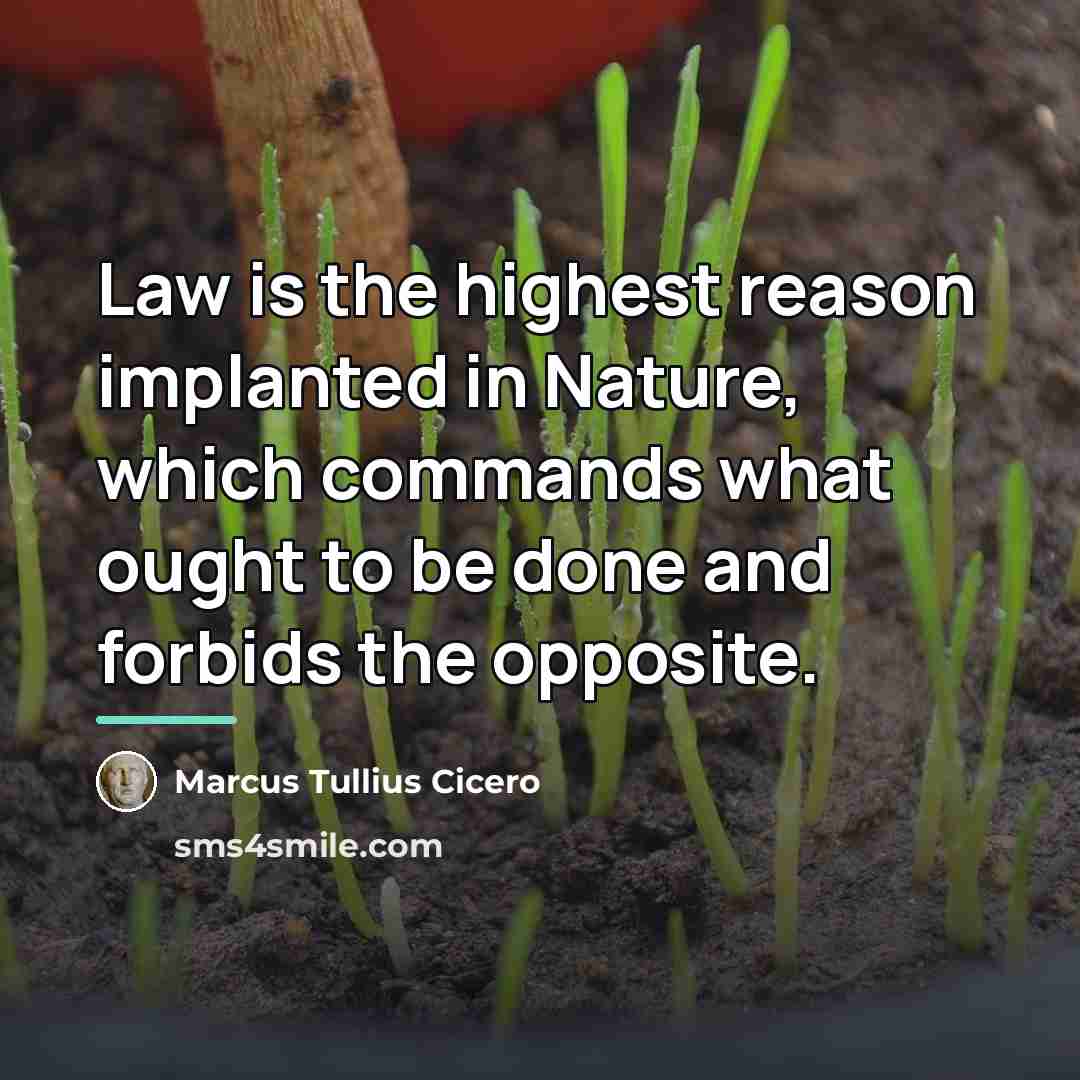 “Law is the highest reason implanted in Nature, which commands…” quote by Marcus Tullius Cicero