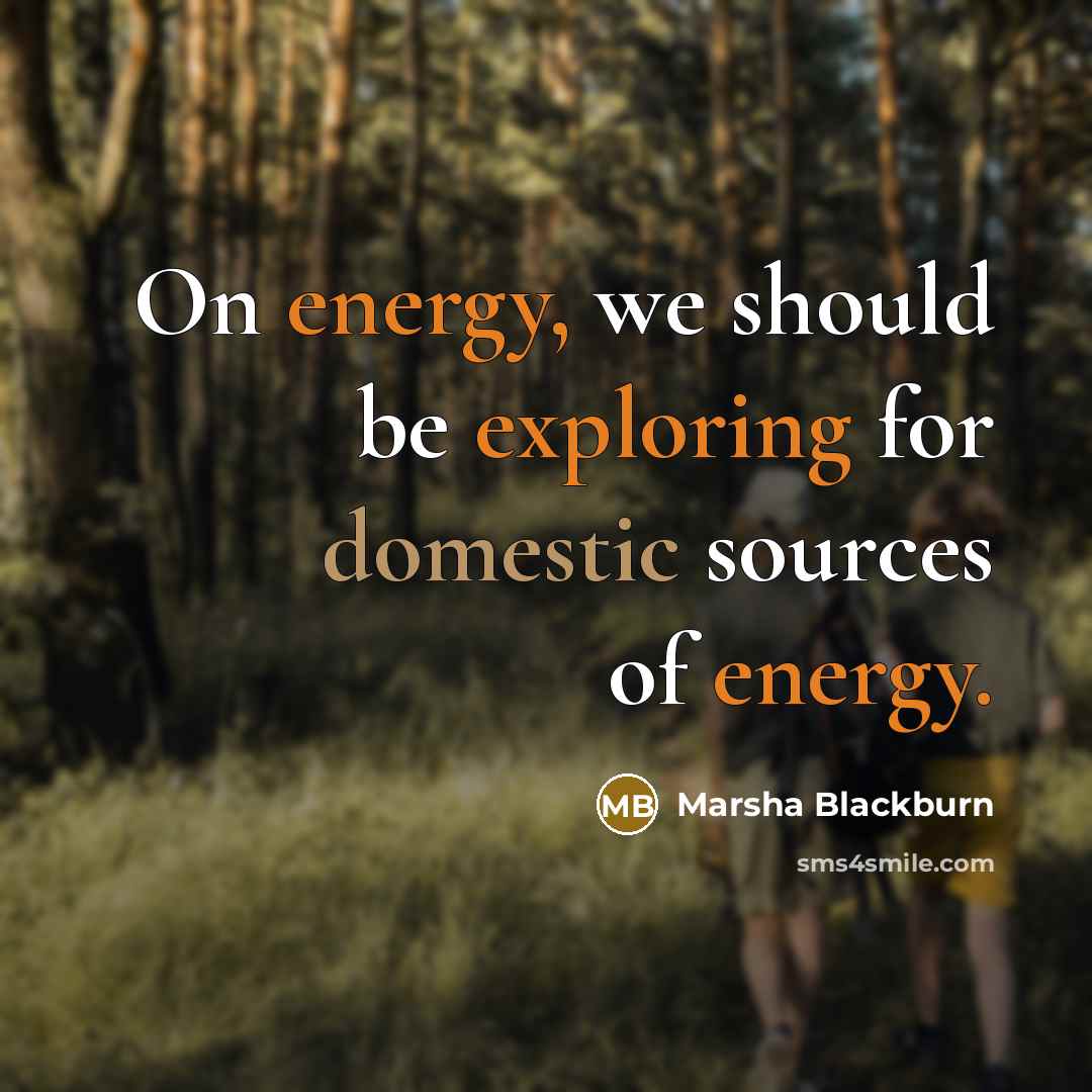 “On energy, we should be exploring for domestic sources of energy.” quote by Marsha Blackburn